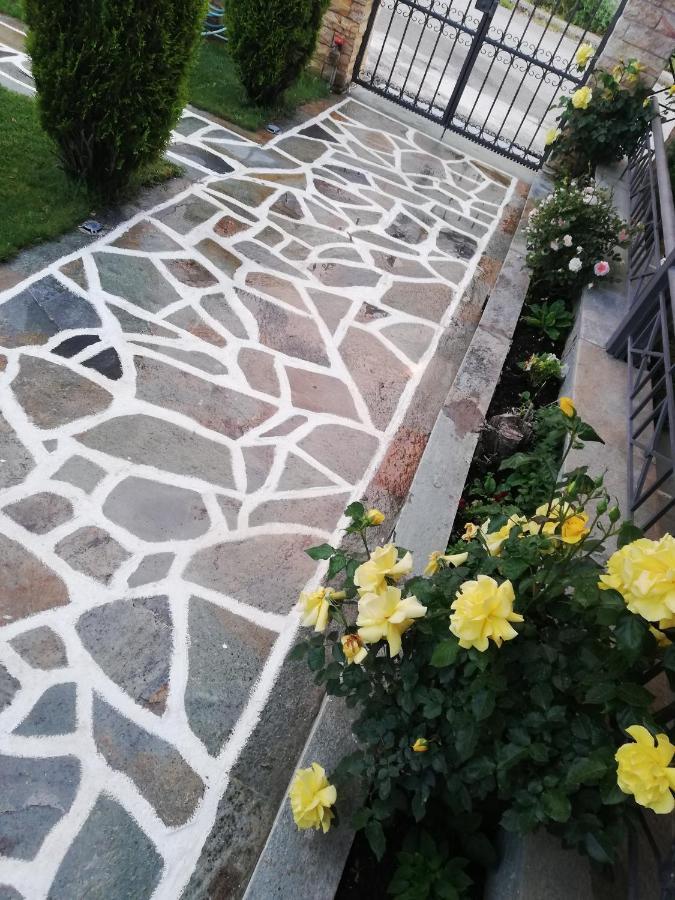 Voula Home -Ioannina-Neokesaria 外观 照片
